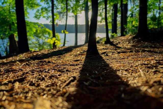 エイブラハム・リンカーンの名言